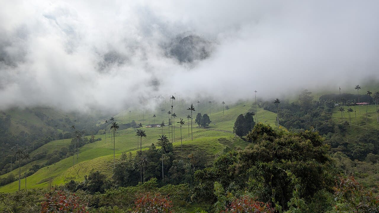 Colombia