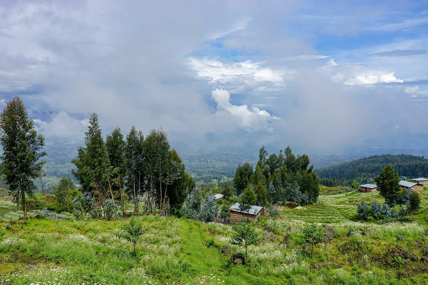 Rwanda