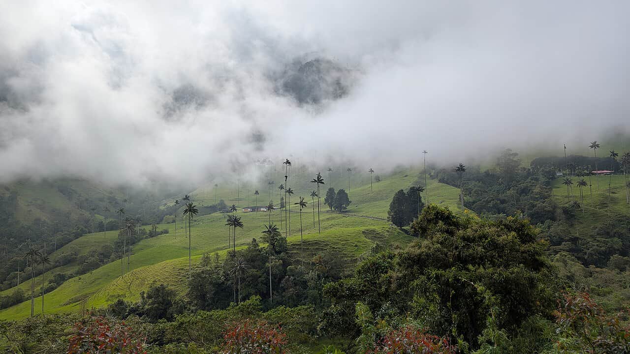 Colombia