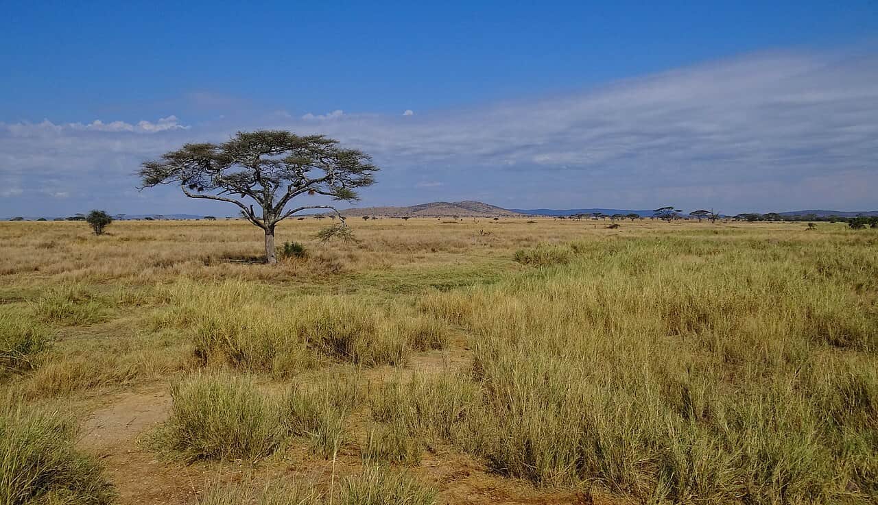 Tanzania